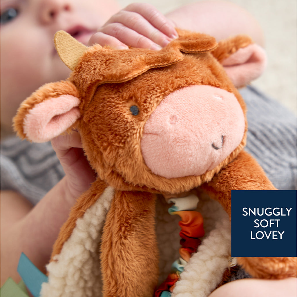 Itzy Ritzy Lovey Plush & Teether Toy