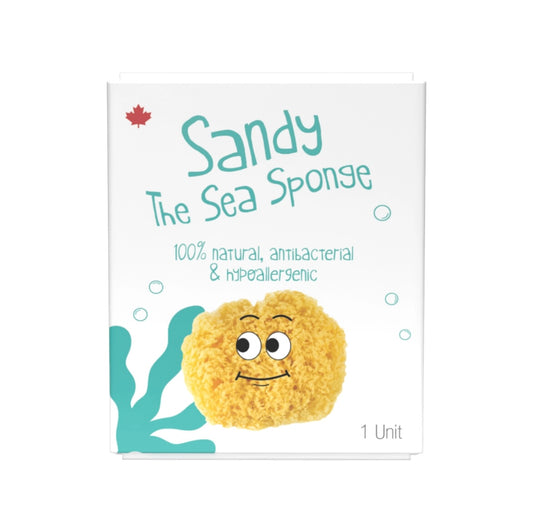 Loot Sea Sponge 