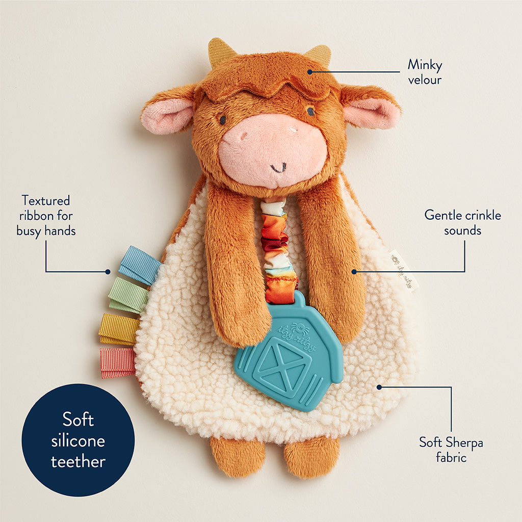 Itzy Ritzy Lovey Plush & Teether Toy