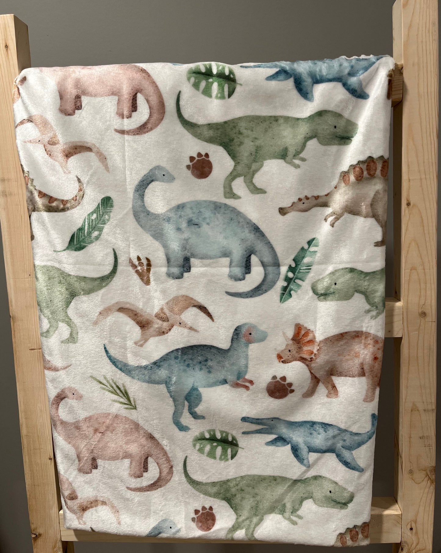 Dino Friends Minky Blanket