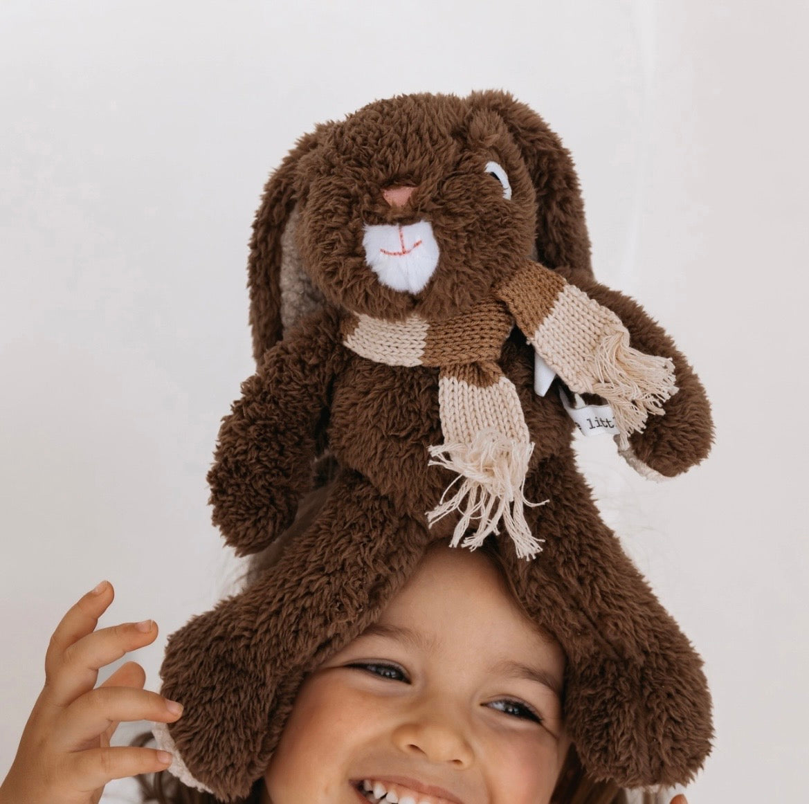 Frankie Rabbit