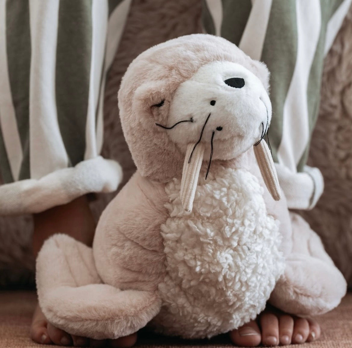 Daryl Walrus